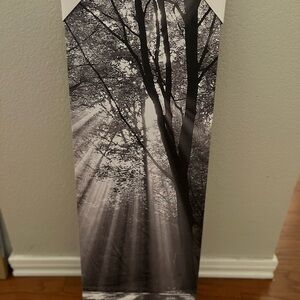 Tree black and white canvas art - brand new!